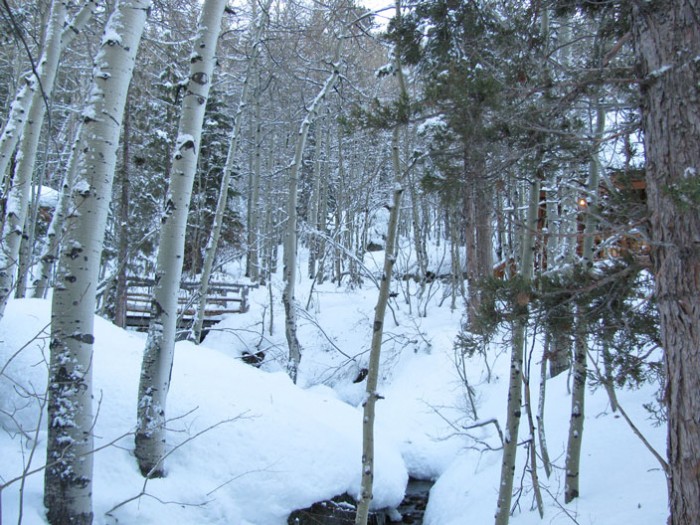 Cabin View