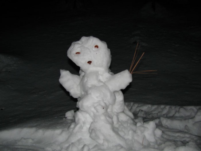 Snow man after dark