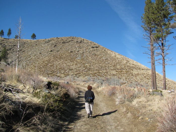 Waterfall trail off King's Canyon Rd.