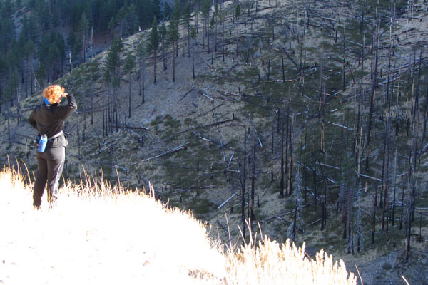 The area was named Ash Canyon long before the 2004 Waterfall fire